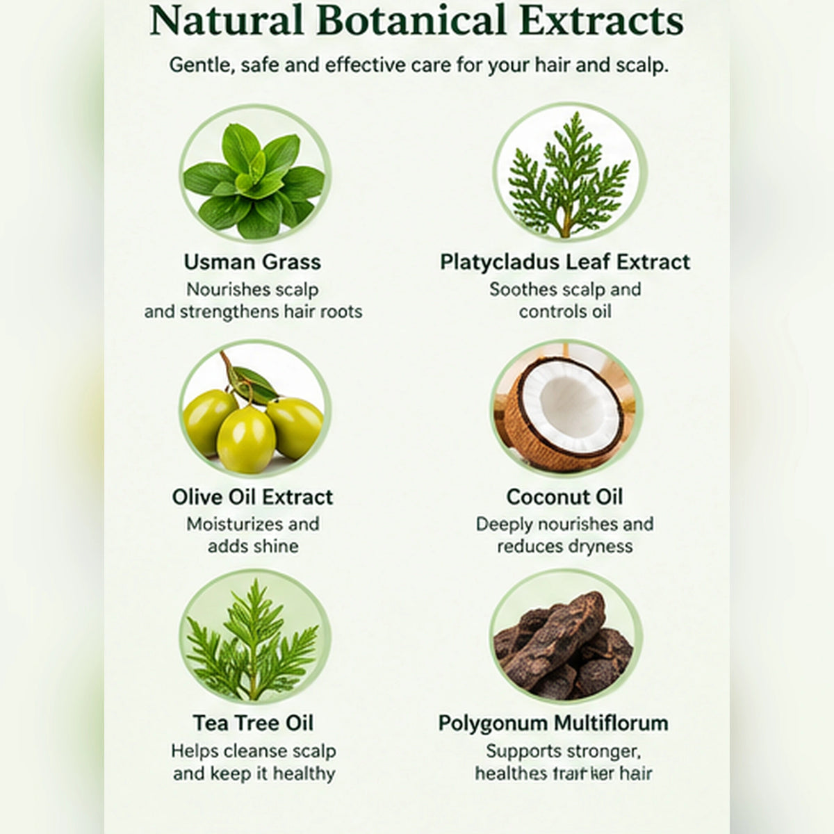 Usman Herb Shampoo Bar botanical ingredients including Platycladus leaf, olive oil and coconut oil